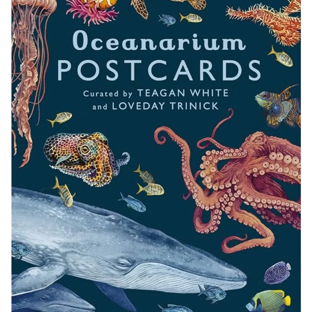 NEW Oceanarium Postcards by Teagan White and Loveday Trinick - Multicolor RARE